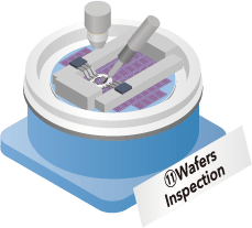 11Wafers Inspection